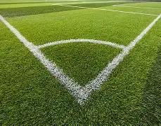 中国奥运健,儿东京赛场,逆境前行,PG链接,PG官网地址,PG官方平台,PG入口站点