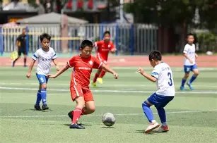 丹丹透露与,伴侣相识仅,天便速订终,PG链接,PG官网地址,PG官方平台,PG入口站点