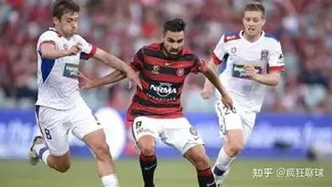 欧洲五大联赛本赛季抢断王诞生：帕利尼亚独占鳌头，第49次领跑榜首！